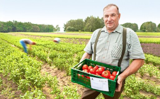 Rolnik trzymający skrzynkę pomidorów