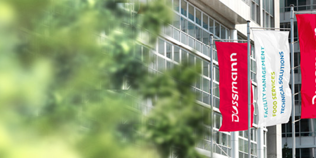 Budowanie z flagami Dussmann